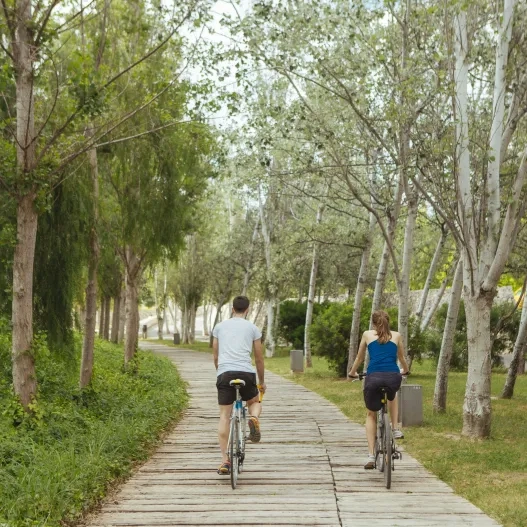 ruta bici