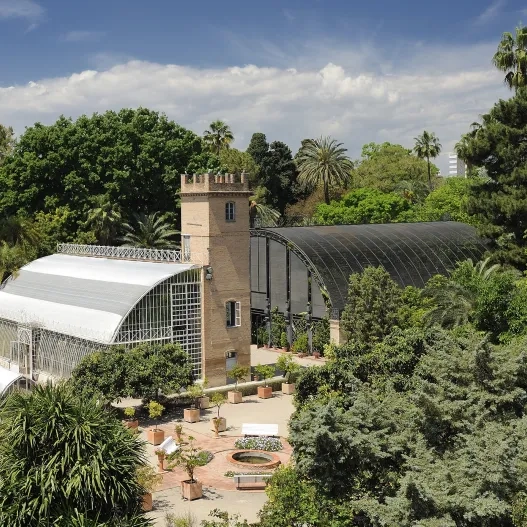 Visitas guiadas por el Jardín Botánico de València