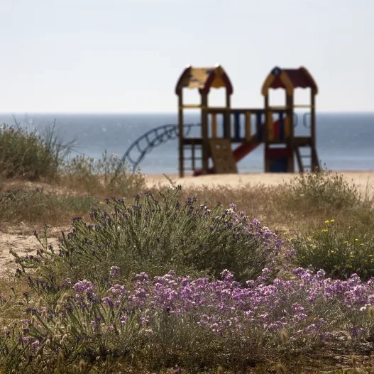 Playa de la Devesa