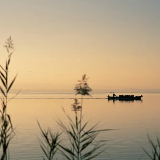 Albufera de Valencia