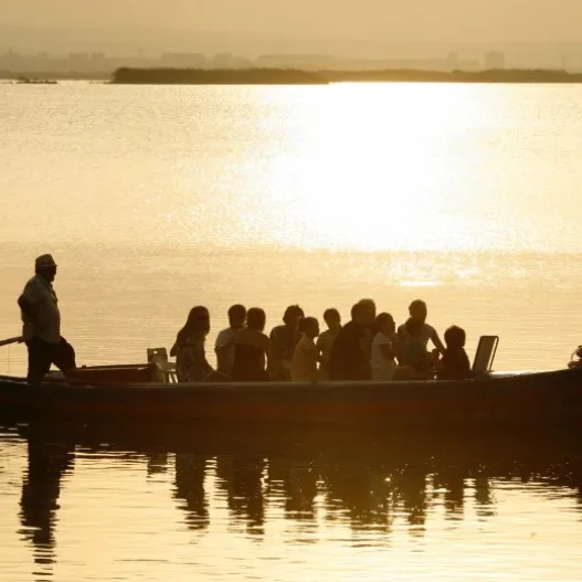 bus turistic albufera barca