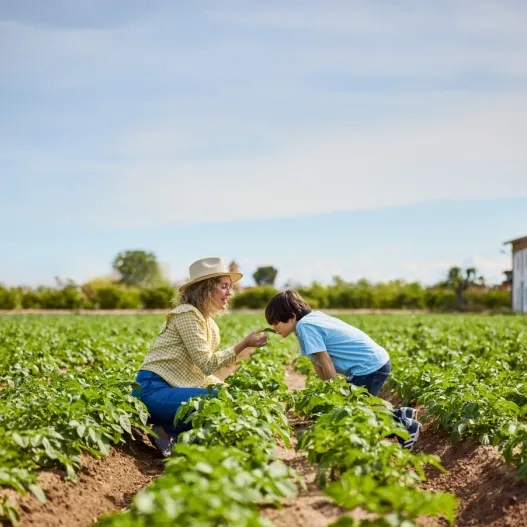 Huerta