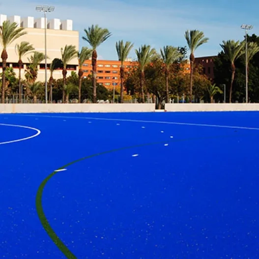 Hokey Carrasca
