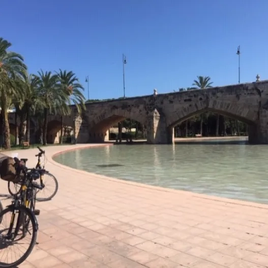 Imagen de una bici aparcada junto a un lago de agua del rio Turia 