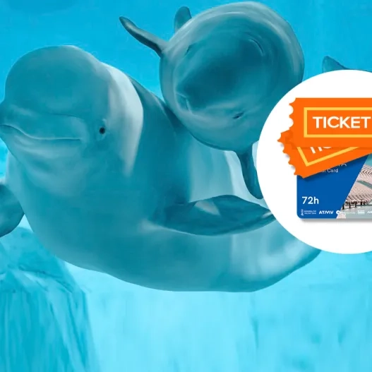 Pack 72 horas Oceanografic