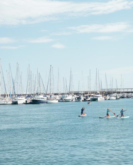 marina de valencia