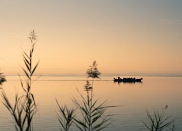 Albufera El Palmar