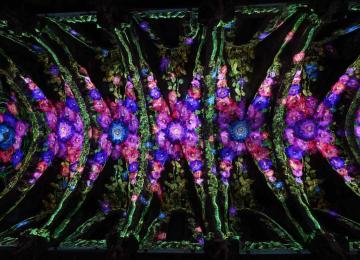 «La Luz de San Nicolás»: una experiencia inmersiva en València