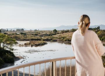 Tancat de la Pipa Valencia