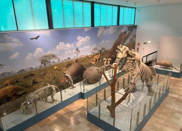 Museo El Panteologic