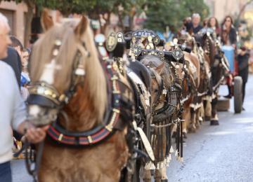 Fiestas de Sant Antoni 2024