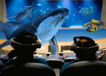 Experiencia «INMERSIÓN» en el Oceanogràfic de València