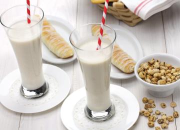 gastro and trips horchata y fartones