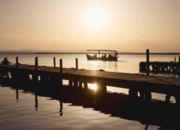 Celebra el Día de los Humedales en L’Albufera de València