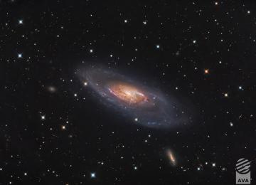 Explora galaxias y estrellas con un planetario digital en València