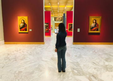 museo de bellas artes.