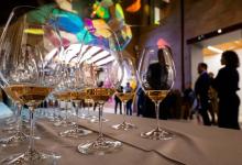 Experiencia enológica «Entrevins i Art» en València