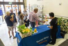 Día Mundial de la Salud