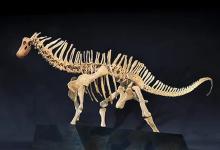 Exposición «Dinosaurios de la Patagonia» en València