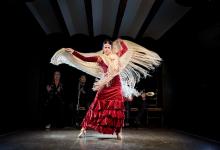 Planes para disfrutar del mejor flamenco en València