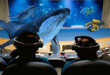 Experiencia «INMERSIÓN» en el Oceanogràfic de València