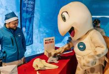 «Navidad bajo el mar» en el Oceanogràfic de València