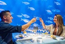 Ven a cenar a un restaurante submarino a València