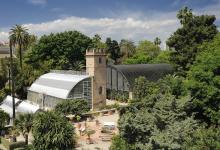 Visitas guiadas por el Jardín Botánico de València
