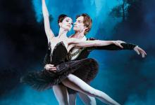 El lago de los cisnes