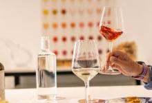 Cata de cinco vinos en el Celler de Proava de València 