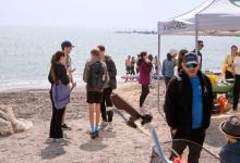 Ven a limpiar las playas de València