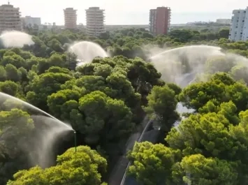 Devesa de El Saler Valencia