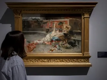 Exposición Museo Bellas Artes Valencia