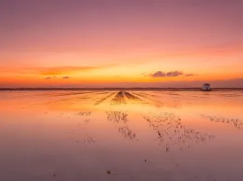 Albufera Valencia