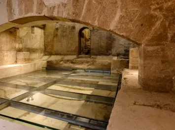 Celler Proava