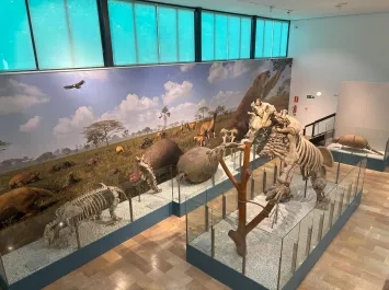 Museo El Panteologic