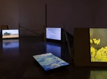 Exposición «La Albufera» en València