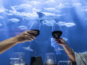 Restaurante Submarino Valencia