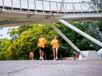 Participa en la carrera Dogfy Run Solidaria en València