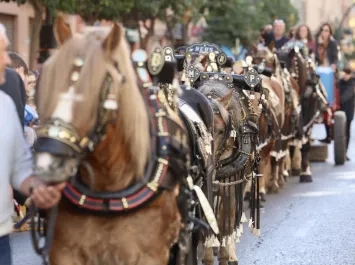 Fiestas de Sant Antoni 2024