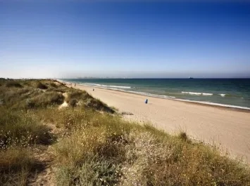 Celebra el Día del Árbol en València