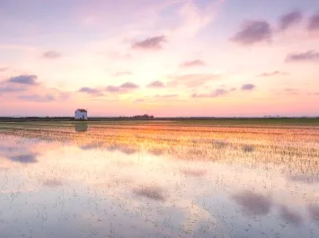 Albufera de Valencia