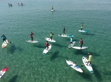 paddle surf