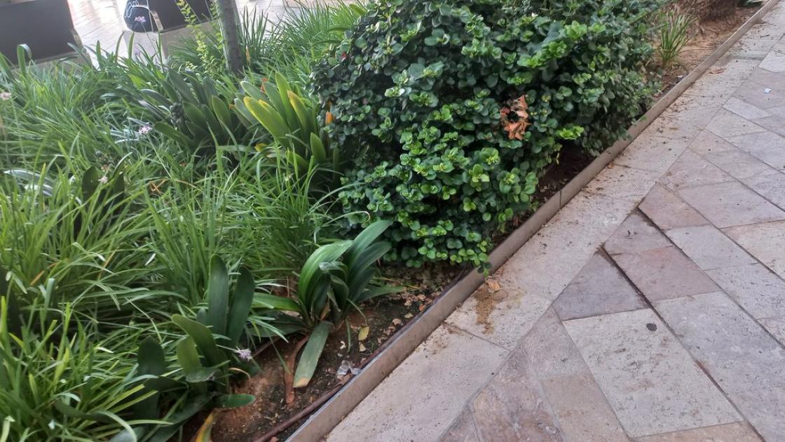 Parterres delimitados con borde detectable.