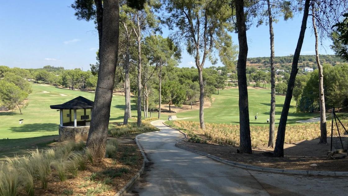 Accessible training fields, connected by accessible paths for buggies, wheelchairs, or on foot.