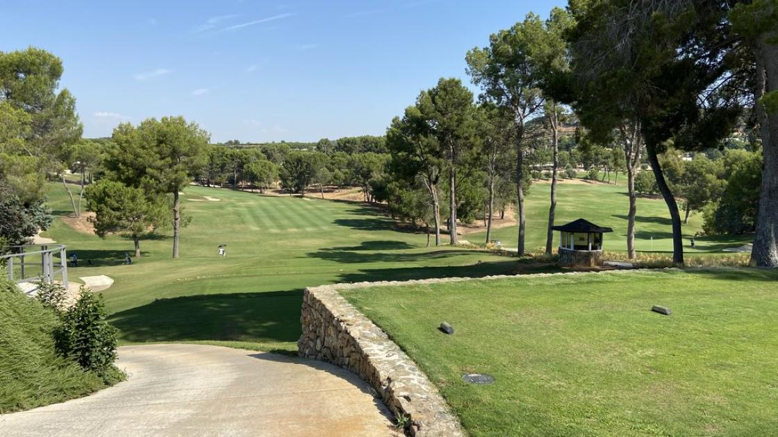 Accessible training fields, connected by accessible paths for buggies, wheelchairs, or on foot.