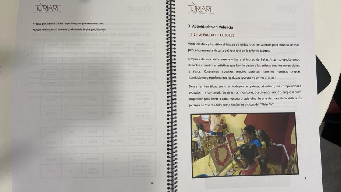 Accessible activity guide with an appropriate font size and accompanying images.