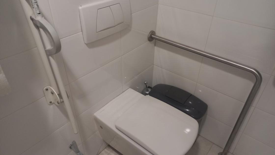 Bany adaptat en zones comunes.