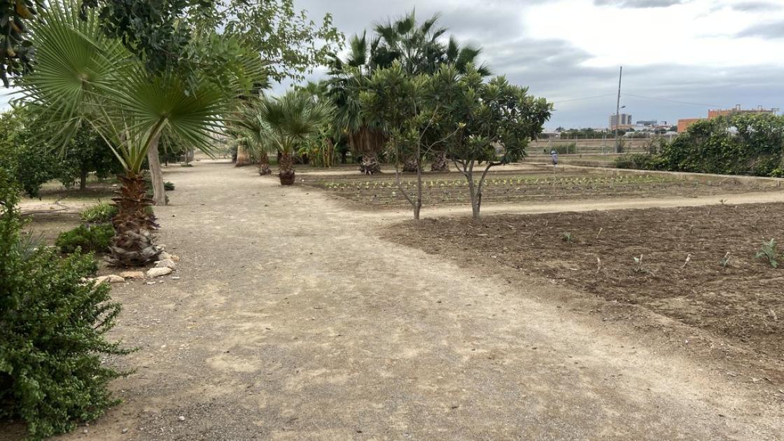 Zona de pas accessible amb amplitud i un sistema de drenatge correcte per a la circulació correcta de tot tipus d'usuaris