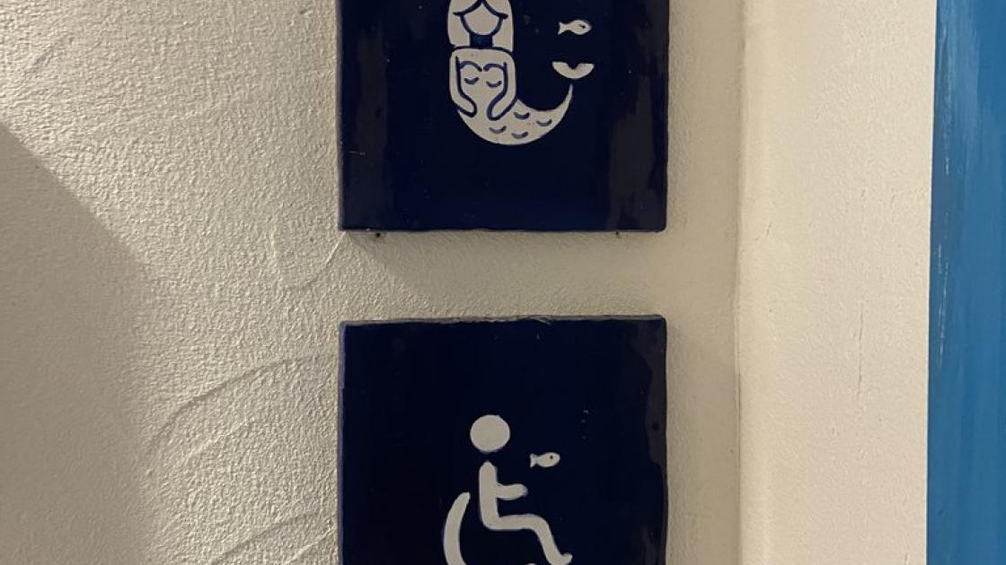 Senyalització banys adaptats comuns.